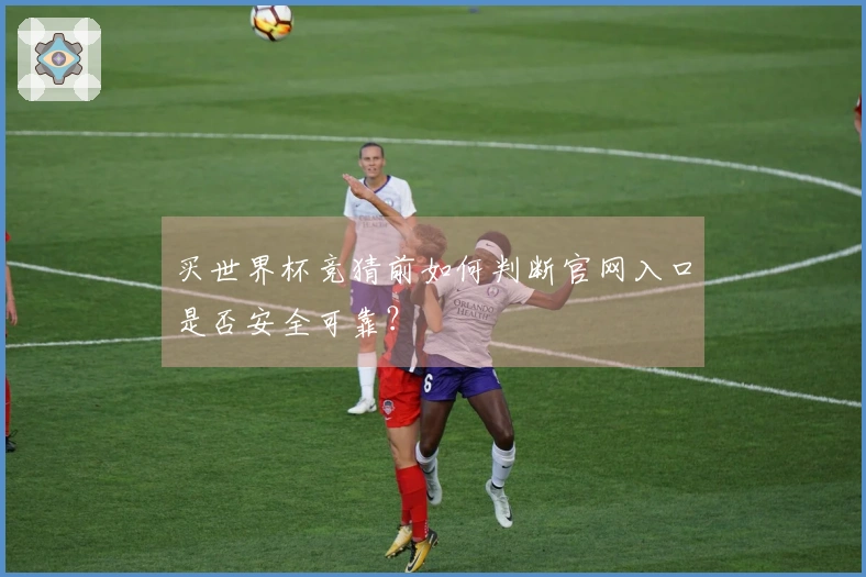 买世界杯竞猜前如何判断官网入口是否安全可靠？