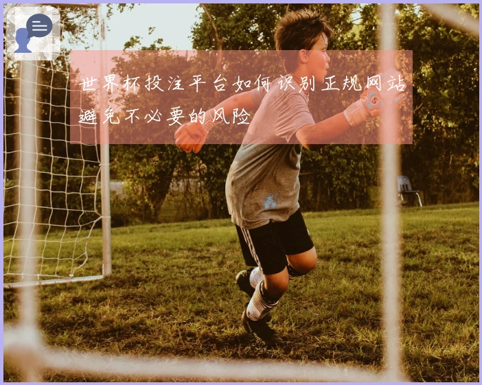 世界杯投注平台如何识别正规网站避免不必要的风险
