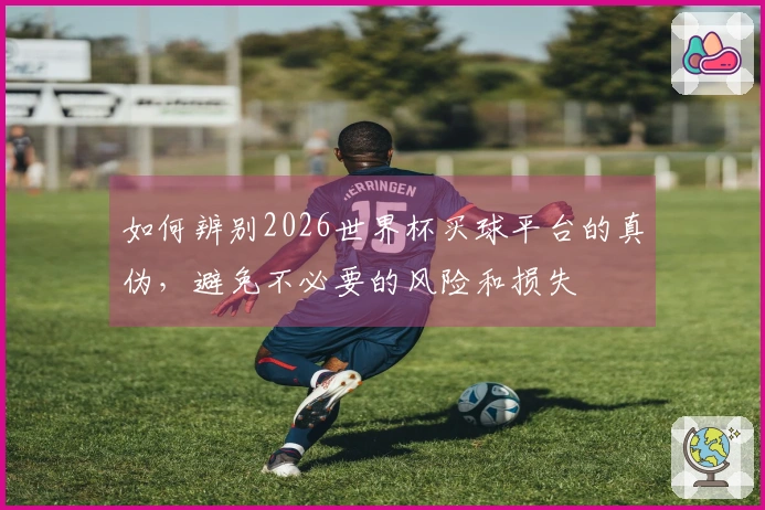 如何辨别2026世界杯买球平台的真伪，避免不必要的风险和损失