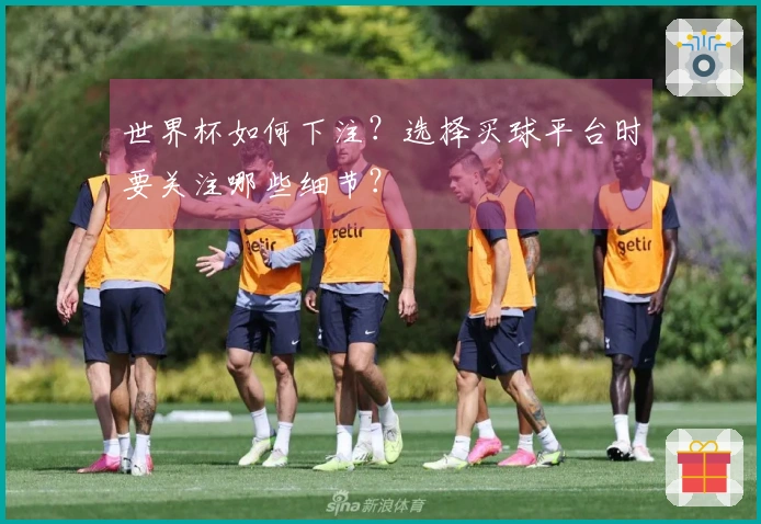世界杯如何下注?选择买球平台时要关注哪些细节?