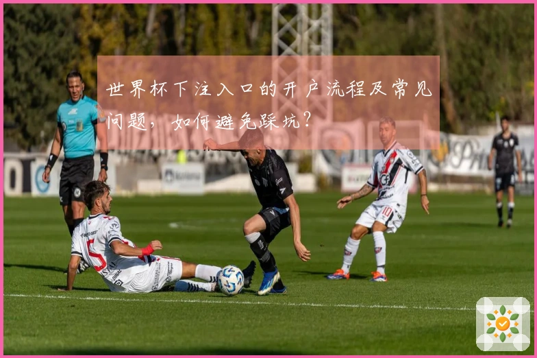 世界杯下注入口的开户流程及常见问题，如何避免踩坑？