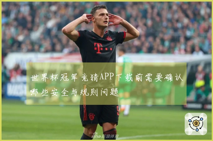 世界杯冠军竞猜APP下载前需要确认哪些安全与规则问题