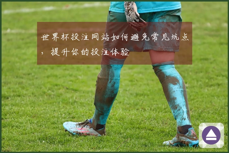 世界杯投注网站如何避免常见坑点，提升你的投注体验