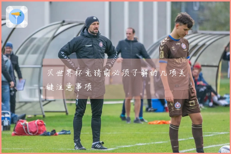 买世界杯竞猜前必须了解的几项关键注意事项