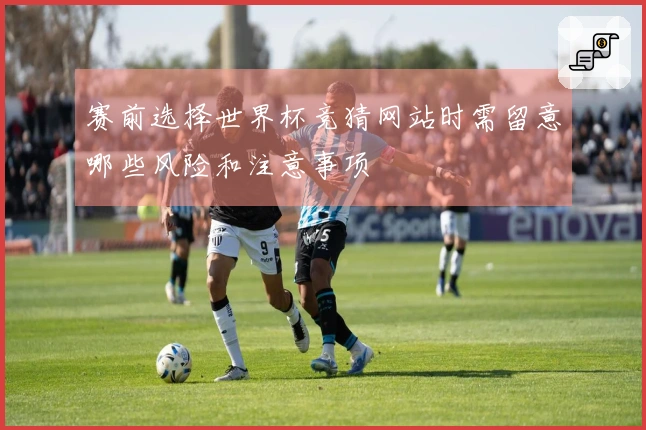 赛前选择世界杯竞猜网站时需留意哪些风险和注意事项