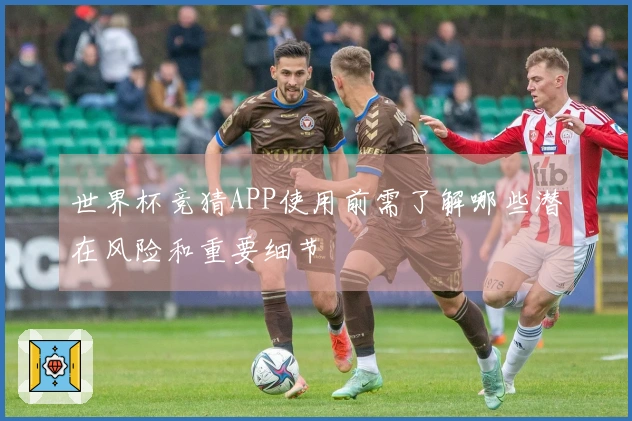 世界杯竞猜APP使用前需了解哪些潜在风险和重要细节