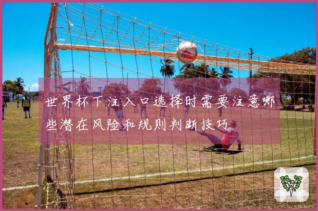 世界杯下注入口选择时需要注意哪些潜在风险和规则判断技巧