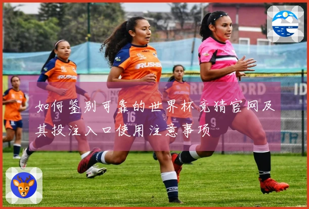 如何鉴别可靠的世界杯竞猜官网及其投注入口使用注意事项