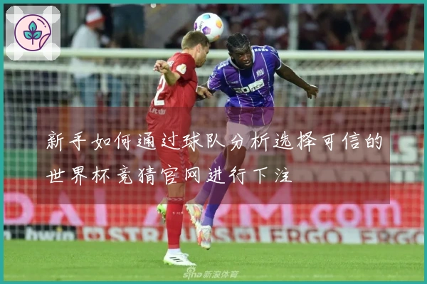 新手如何通过球队分析选择可信的世界杯竞猜官网进行下注