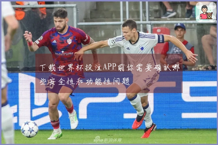 下载世界杯投注APP前你需要确认哪些安全性和功能性问题