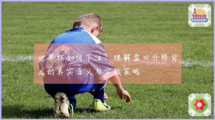 世界杯如何下注？理解盘口升降背后的真实含义与实战策略