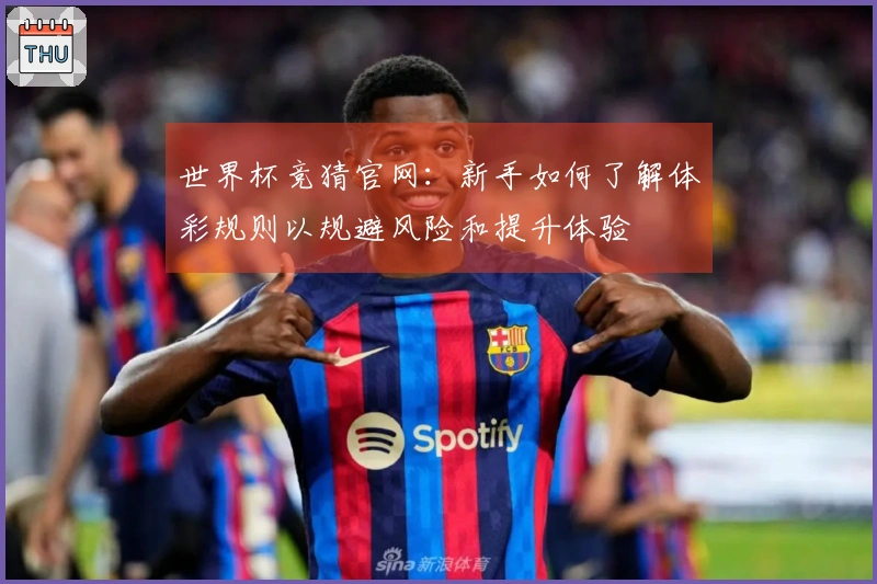 世界杯竞猜官网：新手如何了解体彩规则以规避风险和提升体验