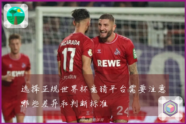 选择正规世界杯竞猜平台需要注意哪些差异和判断标准