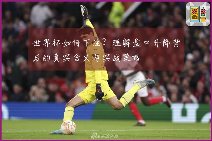 世界杯如何下注？理解盘口升降背后的真实含义与实战策略