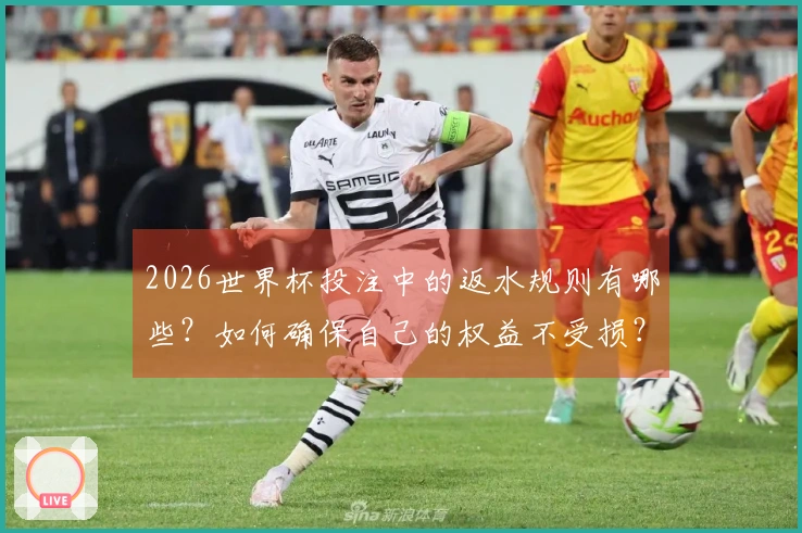 2026世界杯投注中的返水规则有哪些？如何确保自己的权益不受损？