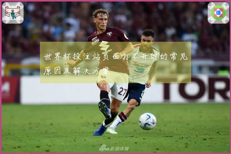 世界杯投注站页面打不开时的常见原因及解决方案