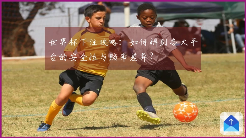世界杯下注攻略：如何辨别各大平台的安全性与赔率差异？