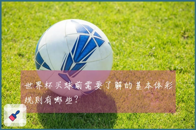 世界杯买球前需要了解的基本体彩规则有哪些？