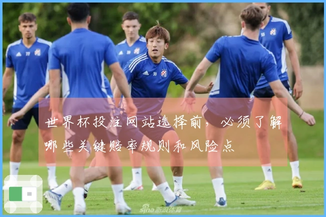 世界杯投注网站选择前，必须了解哪些关键赔率规则和风险点