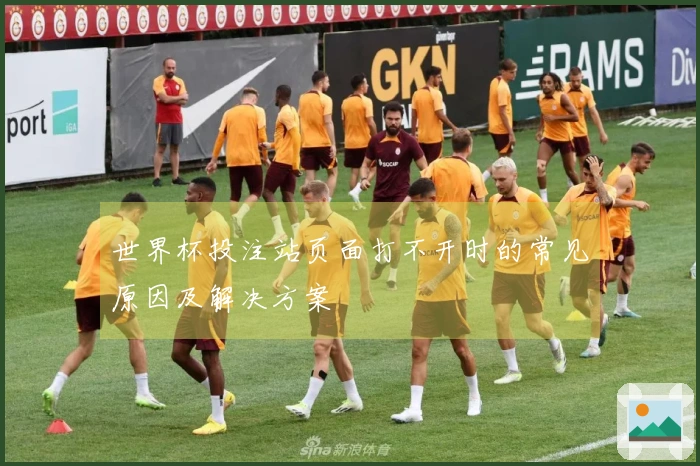 世界杯投注站页面打不开时的常见原因及解决方案
