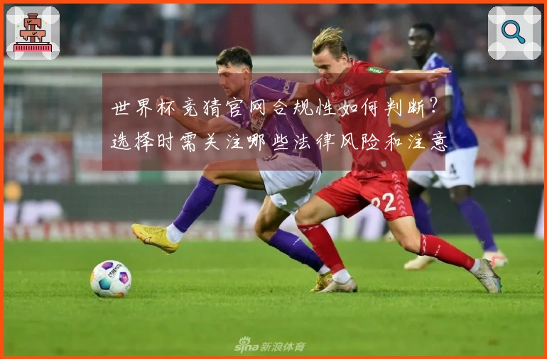 世界杯竞猜官网合规性如何判断？选择时需关注哪些法律风险和注意事项