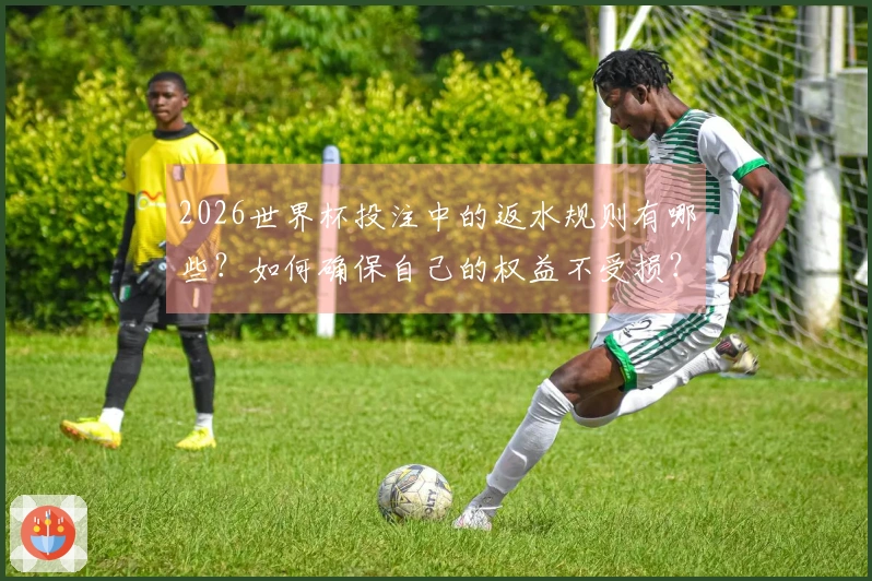 2026世界杯投注中的返水规则有哪些？如何确保自己的权益不受损？