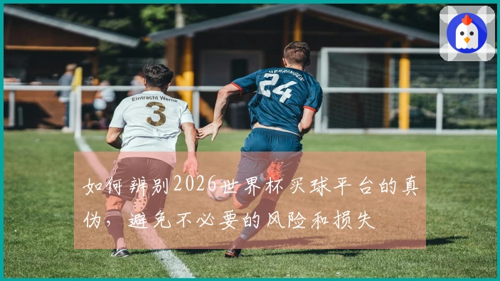 如何辨别2026世界杯买球平台的真伪，避免不必要的风险和损失