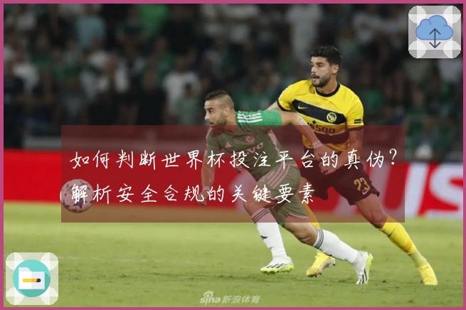 如何判断世界杯投注平台的真伪？解析安全合规的关键要素