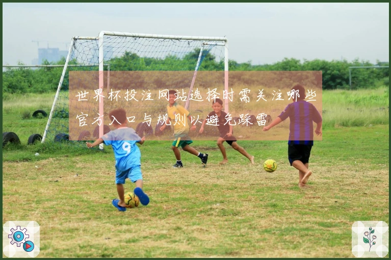 世界杯投注网站选择时需关注哪些官方入口与规则以避免踩雷
